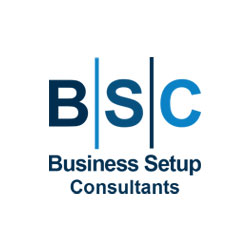 Business Setup Consultants